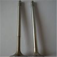 康明斯內(nèi)燃機(jī)氣門