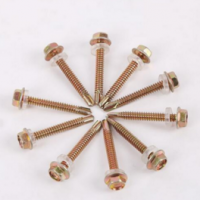 供應(yīng)六角鉆尾絲 外六角彩鋼瓦燕尾非標(biāo)鉆尾絲