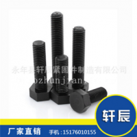 供應(yīng)高強(qiáng)度全扣螺栓 GB5783 高強(qiáng)度8.8級(jí)外六角 加長螺絲