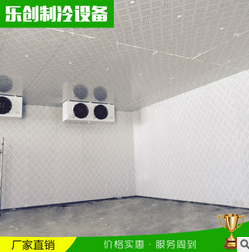 沈陽(yáng)冷庫(kù)設(shè)備安裝超市酒店冷庫(kù)保鮮冷藏冷凍庫(kù)水果蔬菜保鮮冷藏庫(kù)