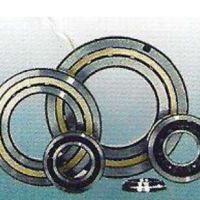 飛洋軸承挖掘機(jī)軸承不銹鋼軸承煙臺(tái)軸承非標(biāo)軸承煙臺(tái)五金