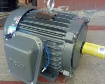 臺灣東元剎車馬達(dá)1.5KW 三相異步電機 節(jié)能伺服電機批發(fā)