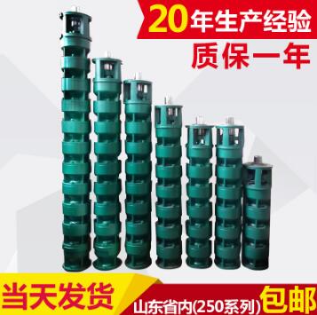 邊立式QJ不銹鋼深井潛水泵 高壓污水潛水泵 高揚(yáng)程多級(jí)深井潛水泵