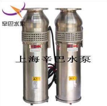 QSP噴泉泵 QSP噴泉專用泵 不銹鋼噴泉泵