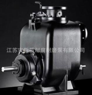 供應(yīng)污水自吸泵