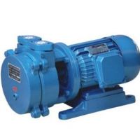 杭州五邦SK-1.5B電動(dòng)真空泵