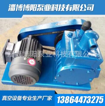 專業(yè)生產(chǎn)定做2X-8旋片式真空泵 優(yōu)質(zhì)真空泵抽氣泵 旋片式真空泵