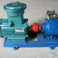 泰盛不銹鋼轉(zhuǎn)子泵價位低品質(zhì)好