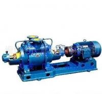 供應(yīng)SZ系列水環(huán)真空泵