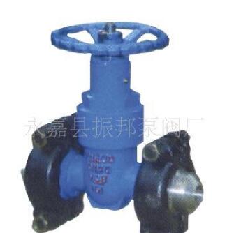 Z81H-200 油田專(zhuān)用卡箍閘