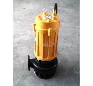 供應(yīng)上海博科工程污水泵