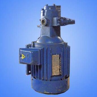 專業(yè)供應(yīng)油泵專用電機(jī)