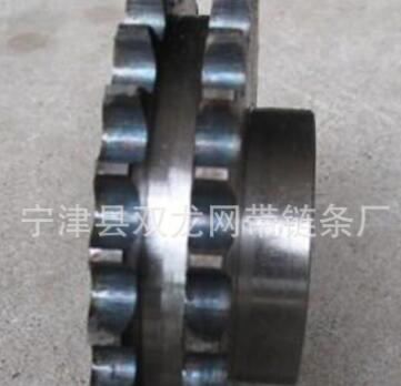 雙龍供應(yīng)生產(chǎn)鏈輪 不銹鋼工業(yè)鏈輪 輸送鏈輪 雙排鏈輪 質(zhì)優(yōu)價(jià)廉