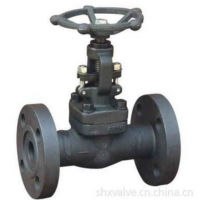 供應(yīng)Z41H 法蘭式鍛鋼閘閥
