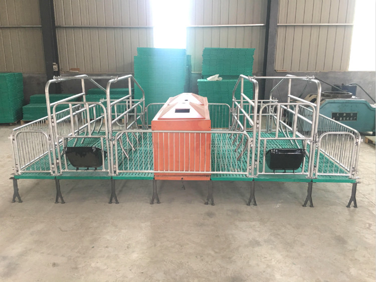 全復(fù)合產(chǎn)床/旭樂(lè)畜牧設(shè)備/母豬產(chǎn)床廠家/豬產(chǎn)床