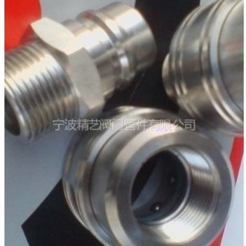 供應(yīng)高質(zhì)量304不銹鋼直通液壓快速接頭