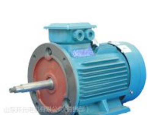 管道泵用專用三相異步電動機