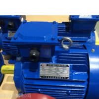 zoda變頻電機(jī)Y2VP-315L1-4-160kW sh=1.2 調(diào)速電動機(jī)