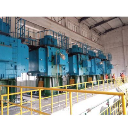 大型異步高壓立式電機(jī)（YLKS)