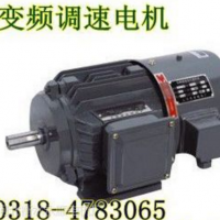 供應調速變頻電機生產廠家