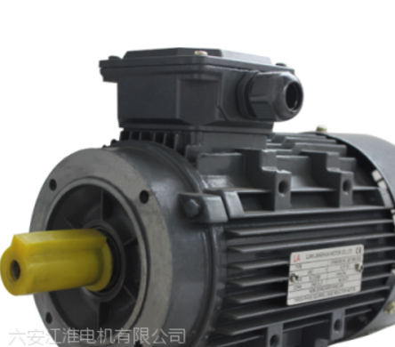 六安江淮高效鋁殼電機(jī)