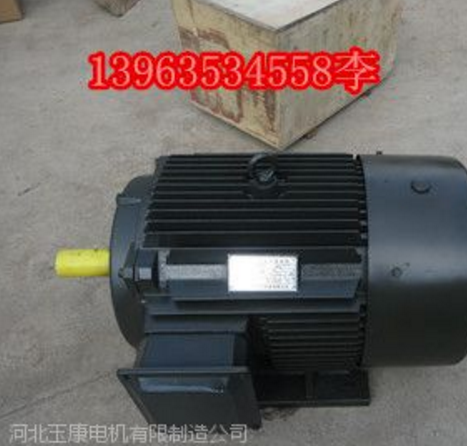 泊頭玉康Y2-132s-355L2-8機械三相異步