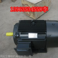 泊頭玉康Y2-132s-355L2-8機械三相異步