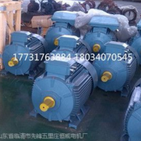 三相電機(jī) 高效節(jié)能電機(jī) YE2高效節(jié)能電機(jī)廠家直銷
