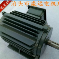 威遠YE3高效節(jié)能電機YE3-90L-4雙軸電動機1.5KW三相異步電動機