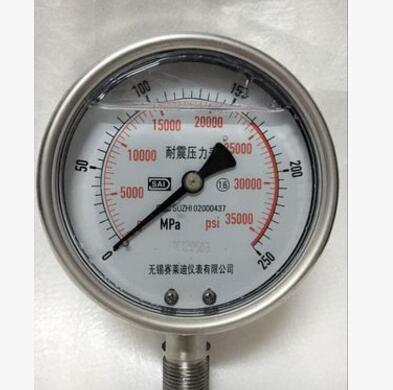 無錫賽萊迪不銹鋼耐震高壓壓力表YN-100BF 250MPa超高壓壓力表