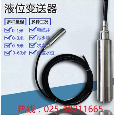 投入式液位變送器液位傳感器水位計(jì)4-20maRS485液位計(jì)