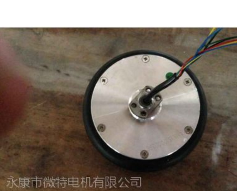 無刷直流妞妞平衡車專用電機(jī)