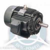 高崎變頻電機(jī)-AEHLQS系列（1/4HP--125HP)臥式 立式