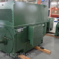 中型高壓三相異步電動機