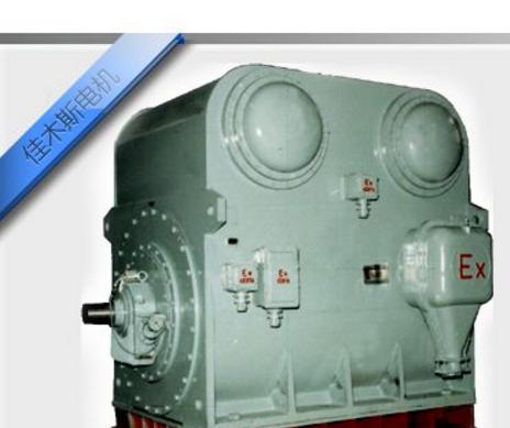 YBKS系列高壓隔爆三相異步電動機