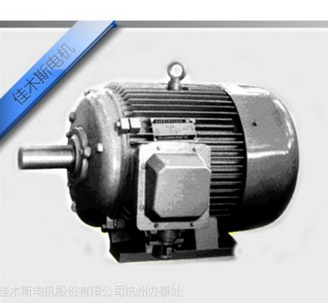 HY系列核電用三相異步電動機