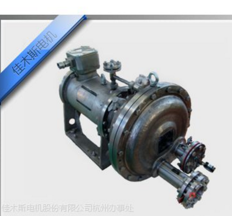 佳木斯屏蔽電動機、電泵系列