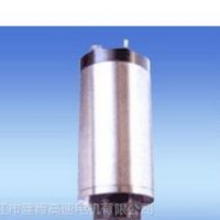供應(yīng)JGM磨削用電主軸