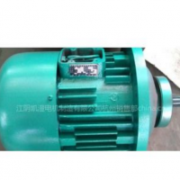 供應(yīng)江陰凱澄錐形轉(zhuǎn)子電動機