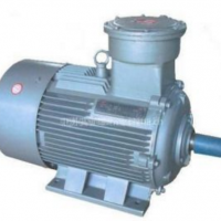 供應(yīng)YB2-H系列船用隔爆型三相異步電動(dòng)機(jī)