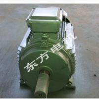 廠家供應(yīng) 東爆Y2/YB2三相異步電動機/電動機