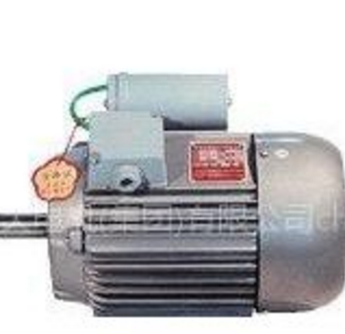 供應(yīng)YC2系列單相電容起動(dòng)異步電動(dòng)機(jī)