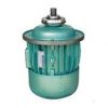 2噸CD葫蘆非標(biāo)電機(jī) 錐形轉(zhuǎn)子8級(jí)電機(jī) ZD 31-8 1.5KW
