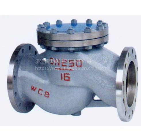 浙江普天旋啟式止回閥H44H-16C DN100