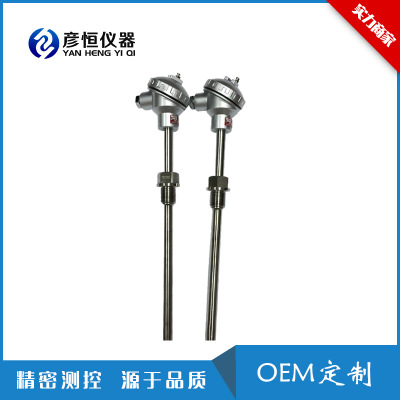 彥恒儀器 熱電偶WR 防腐鎧裝熱電偶 儀器儀表配件溫度傳感器防爆