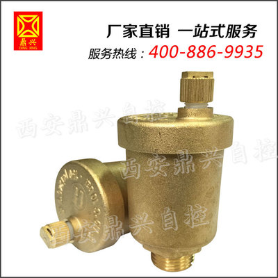 浙江省原裝進口銅閥門 熱水自動排氣閥 耐高溫閥