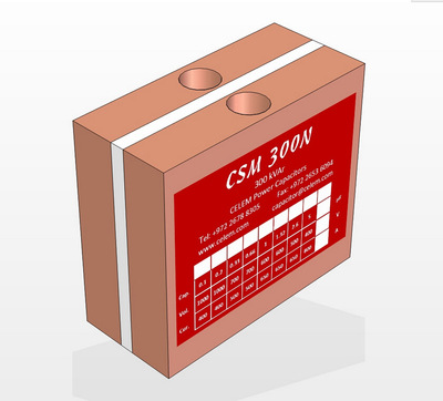CSM300N電力電容器 冷卻高頻傳導(dǎo) CELEM電容 高頻諧振電容批發(fā)