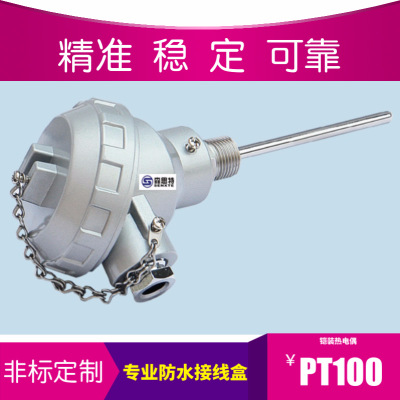 工廠高溫高精度 K型鎧裝熱電偶 PT100溫度傳感器