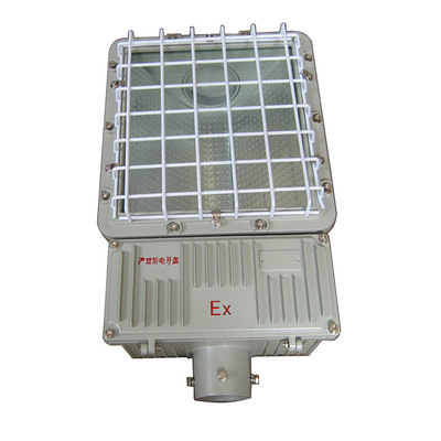 廠家直銷 防爆LED燈 防爆泛光燈 鋁合金外殼防爆日光燈