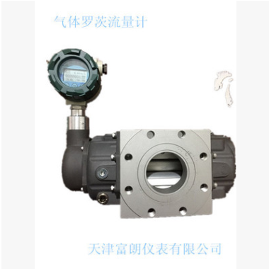 氣體羅茨流量計(jì) 氣體腰輪流量計(jì) 氣體流量計(jì) 天津流量計(jì)